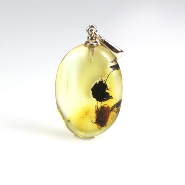 Gintarinis pakabukas su uodo inkliuzu