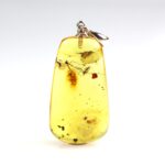 Gintarinis pakabukas su inkliuzu