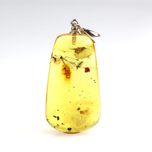 Gintarinis pakabukas su inkliuzu