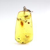 Gintarinis pakabukas su inkliuzu