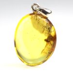 Gintarinis pakabukas su musės inkliuzu