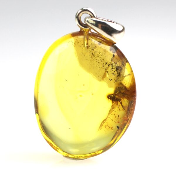 Gintarinis pakabukas su musės inkliuzu