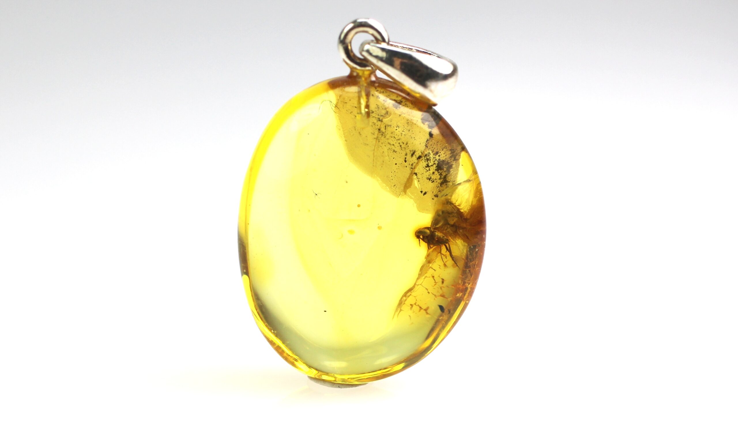 IMG_2101 Gintarinis pakabukas su musės inkliuzu