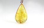 Amber pendant with small DIPTERA insect inclusion - Image 5