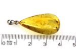 Amber pendant with small DIPTERA insect inclusion - Image 7