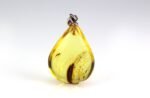 Amber pendant with small MOSQUITO insect inclusion - Image 3
