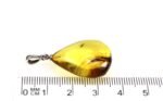Amber pendant with small MOSQUITO insect inclusion - Image 6