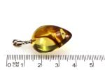 Amber pendant with small DIPTERA insect inclusion - Image 5
