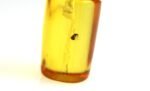 Amber pendant with small DIPTERA insect inclusion - Image 2