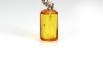 Amber pendant with small DIPTERA insect inclusion - Image 3